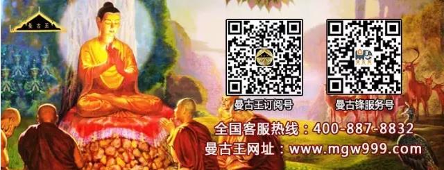 曼古王微信公众号